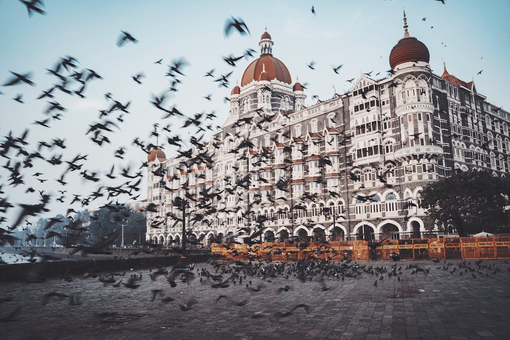 Flock of Birds Flying Near the Taj Mahal Palace in Mumbai